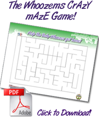 Whoozems Crazy Maze PDF